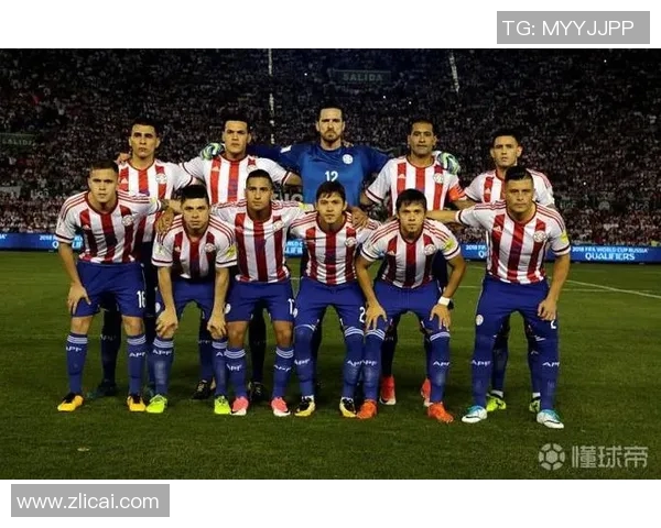 巴拉圭对阵法国世界杯精彩对决回顾与分析 巴拉圭对阵法国世界杯精彩对决回顾与分析