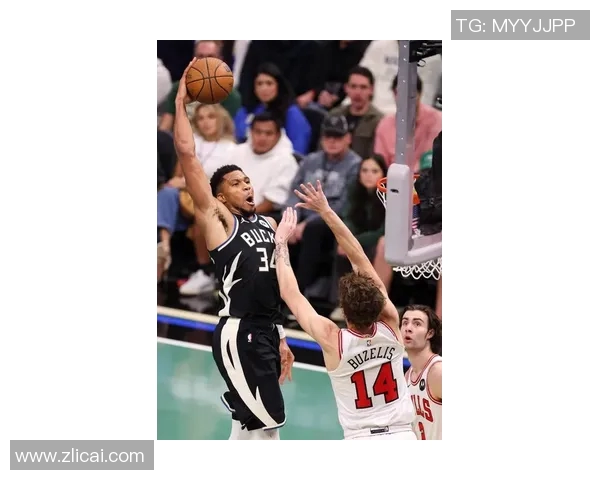 雄鹿近期失利频频，球队态势徘徊