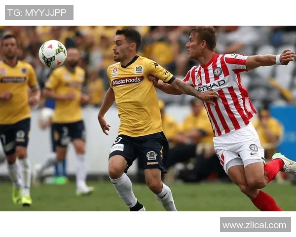 新城堡联与惠灵顿凤凰的精彩对决揭示足球魅力与团队精神的完美结合