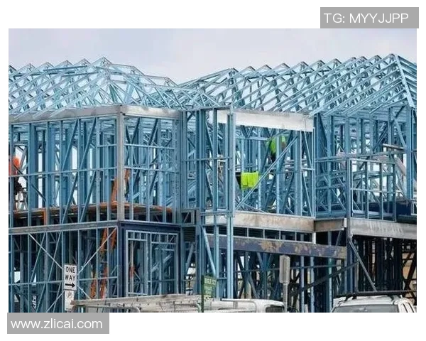 悉尼城东与西悉尼的文化碰撞与发展对比分析