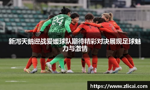 新泻天鹅迎战爱媛球队期待精彩对决展现足球魅力与激情