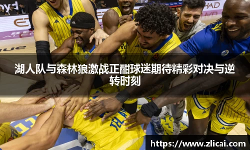 三亿体育官网入口