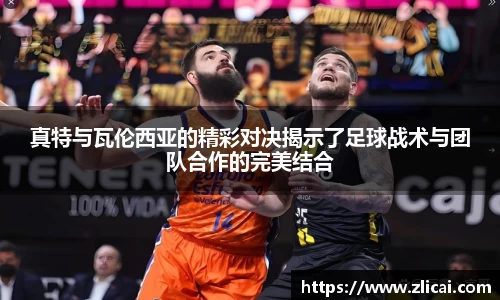 三亿体育最新地址